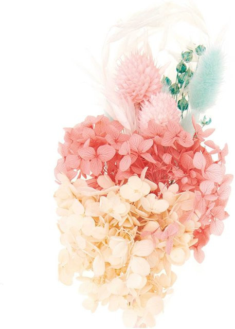 Rico Design Trockenblumenstrauß aus Naturmaterial in Pastell-Türkis, Höhe: 30 cm - Bild 1