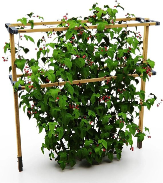 Gusta Garden Rankhilfe Berry Buddy Kletterhilfe aus Holz in Braun, Höhe: 480 cm - Bild 1