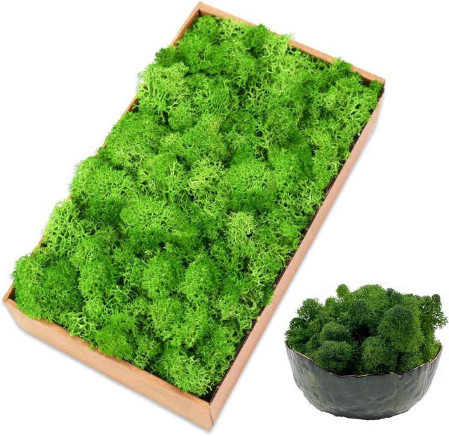 Uflower Künstliches Moos und Gras für DIY Dekorationen in Grün oder Pink, 20g bis 80g - Bild 1