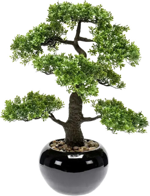 Künstlicher Ficus Bonsai Sota von Aplanta in Grün, Höhe: 47 cm - Bild 1