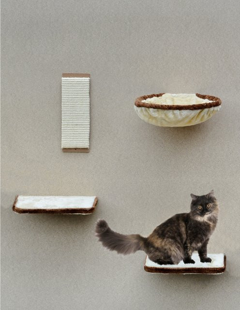 Silvio Design Katzen-Kletterwand 4-teilig aus Holz mit Sisal und Hängematte in Beige-Braun - Bild 1