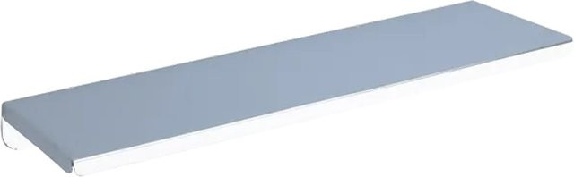 Delabie Wandablage Edelstahl hochglanzpoliert Silber B: 450 mm, H: 120 mm - Bild 1
