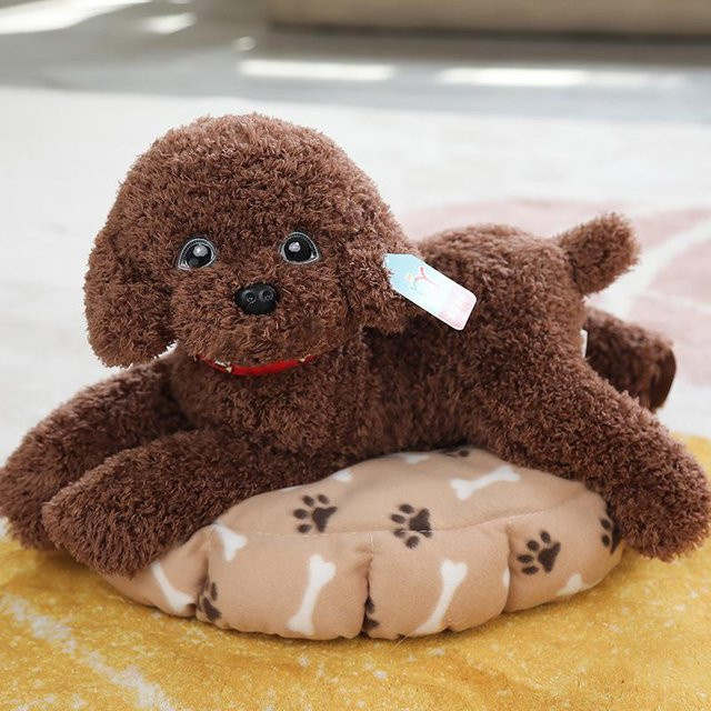 Cartoon-Lockenhaar-Teddy-Hunde Stofftiere, dunkelbraun, 35cm, ab 14 Jahre - Bild 1