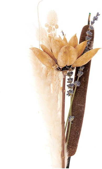 Rico Design Trockenblumenstrauß aus Naturmaterial in Natur-Orange, Höhe: 30 cm - Bild 1