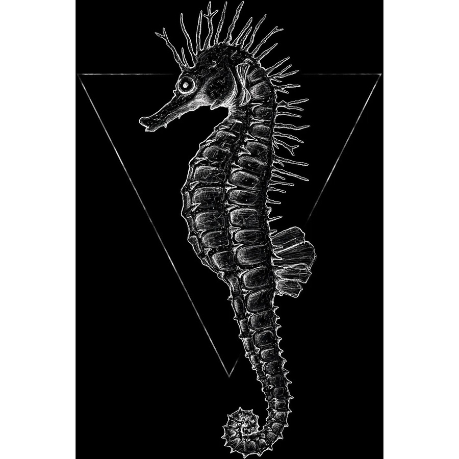 Komar Wandbild Sea Horse in Schwarz, Poster aus Qualitätsvlies, Breite: 50 cm, Höhe: 70 cm - Bild 2