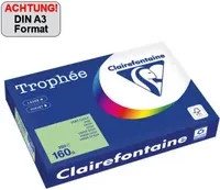 Clairefontaine Trophée Color Kopierpapier DIN A3, 160 g/m², 250 Blatt, Mehrfarbig - Bild 1
