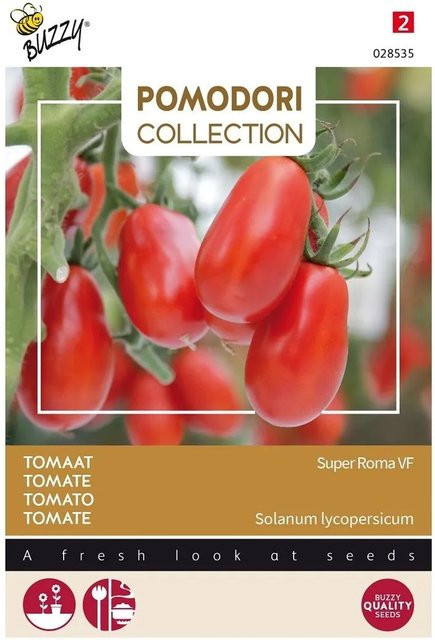Buzzy Pomodori Tomate Super Roma VF Gemüse-Saatgut 0,75 g - Bild 1