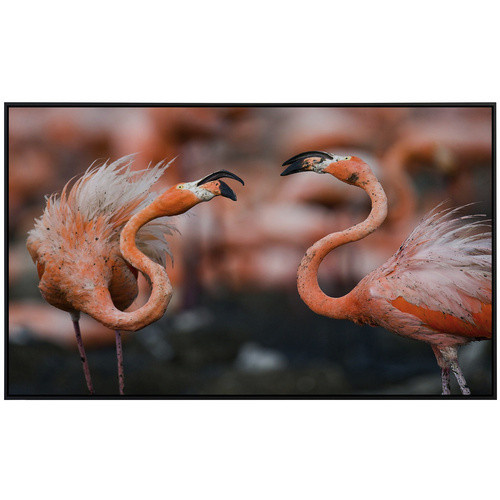 papermoon Infrarotheizung EcoHeat Karibische Flamingos mit Matt-Effekt in Bunt, App-Steuerung und Überhitzungsschutz - Bild 2