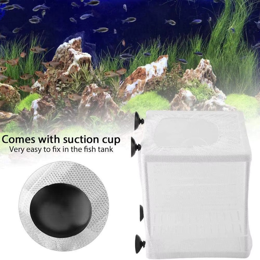 KITPIPI Fischzucht-Inkubator-Netz zur Isolation von Fischen in Weiß - Bild 3