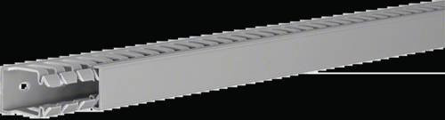 Hager Verdrahtungskanal Stein-Grau B/H/T: 25 x 40 x 2000 mm - Bild 1