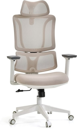 MyBuero Profi Bürostuhl ERGOMY W Ergonomischer Schreibtischstuhl mit Armlehnen und Netzstoff in Beige