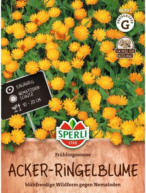 SPERLI Acker-Ringelblumen-Samen Frühlingssonne Gelb - Bild 1