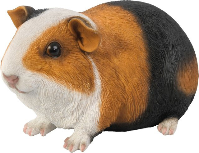 Meerschweinchen Figur Stil 3 aus Polystone von HotAnt in Schwarz, Weiß, Braun und Mehrfarbig - Bild 1