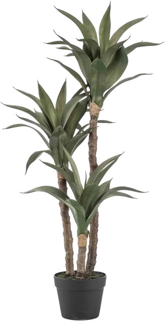 Künstliche Agave Pepe von Aplanta, Höhe: 100 cm - Bild 1