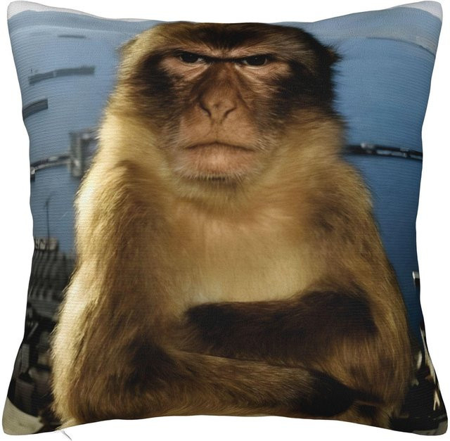 Dekorative Kissenhülle Denkender Affe Meme Merch von JMG Clothing, Mehrfarbig, B/B: 40 x 40 cm - Bild 1