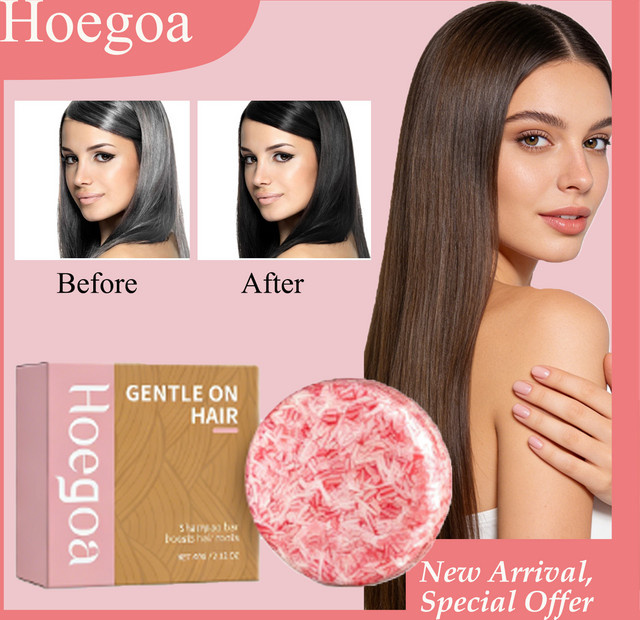 HOEGOA Shampoo-Bar, 60g, Haarpflege - Bild 1