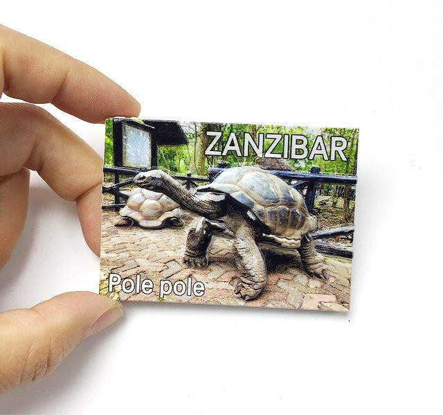 Zanzibar 3D-Kühlschrankmagnete aus Kunstharz mit Schildkröte und Pole Pole Motiv in Multicolour - Bild 1