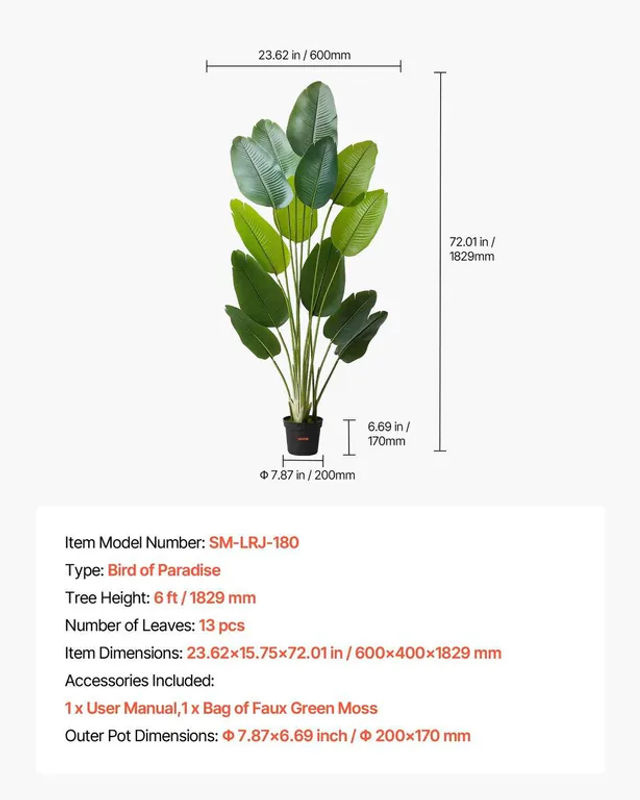 Künstliche Paradiesvogelblume von Buying Solutions, MB, Grün, Höhe: 182,9 cm - Bild 2