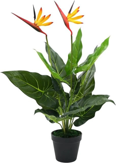 furnicato Künstliche Strelitzia Reginae Paradiesvogelblume in Grün, Rot und Gelb, Höhe: 66 cm - Bild 1