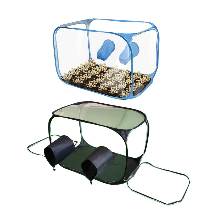 Tragbare Still Air Box für die Mykologie aus transparentem Kunststoff in Blau, B/T/H: 90 x 60 x 60 cm - Bild 5