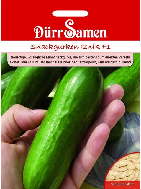 Dürr Snackgurke Iznik F1 Saatgut 155 g - Bild 1
