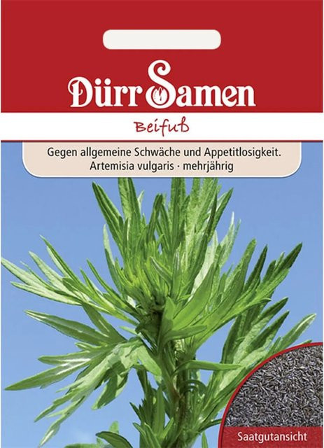 Dürr Beifuß Saatgut Kräutersamen für die Frühsaat 800 g - Bild 1