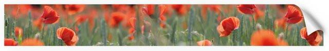 Myspotti Küchenrückwandfolie Mohn in Tile-Look, selbstklebend, Multicolor, B: 450 cm, H: 60 cm - Bild 1