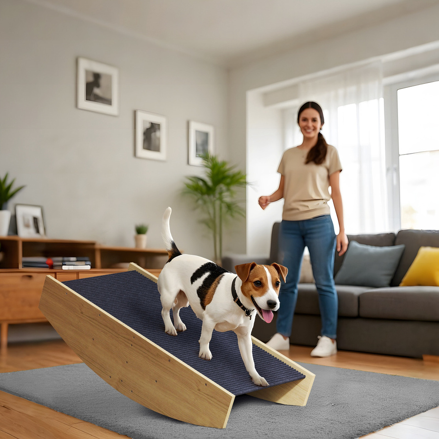 PawHut 2-in-1 Hundewippe aus Fichtenholz für Agility und Balance, B/H/L: 39,5 x 20 x 80 cm, Naturholz - Bild 2