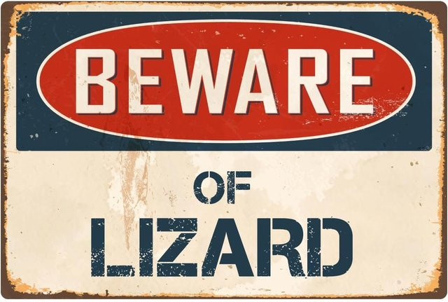 StickerPirate Metallschild Beware of Lizard Vintage Retro Aluminium, B: 20,0 cm, H: 20,0 cm, Tiefe: 0,1 cm, Mehrfarbig - Bild 1