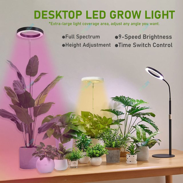 YILIN LED Ring Pflanzenlampe in Weiß mit Vollspektrum, dimmbar und mit Timer für Zimmerpflanzen und Blumen - Bild 1
