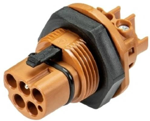 Wieland Electric 96.052.5051.4 Geräteanschluss in Orange - Bild 1