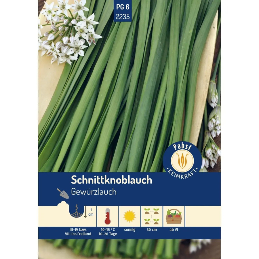 Pabst Keimkraft Schnittknoblauch Saatgut, mehrjährig und würzig - Bild 2