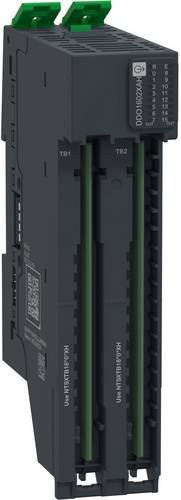 Schneider Electric NTSDDO1602XAHK Erweiterungsmodul in Grau - Bild 1