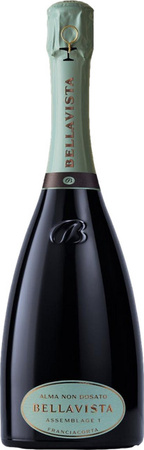 Bellavista Alma Gran Cuvée Brut Nature Schaumwein 0,75 l