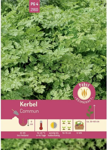 Pabst Keimkraft Kerbel Saatgut, krausblättrig und aromatisch - Bild 1