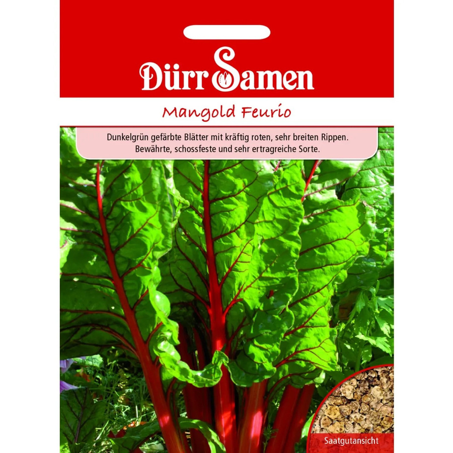 Dürr Mangold Feurio Saatgut für deinen Garten, 155 g - Bild 2