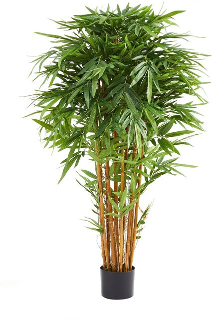 Künstlicher Bambus Kaelen von artplants in Grün, Höhe: 150 cm - Bild 1