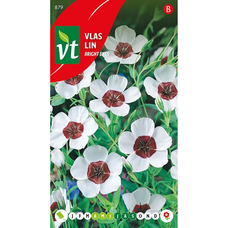 Arborix Lein Bright Eyes Samen für auffällige Blüten, 1 g - Bild 2