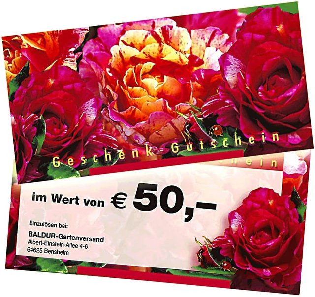 Geschenk-Gutschein im Wert von 50 EUR - Bild 1