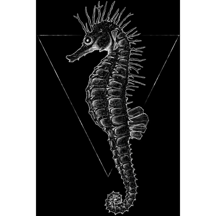 Komar Wandbild Sea Horse Paper Poster in Schwarz, Breite: 40 cm, Höhe: 50 cm - Bild 2