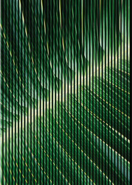 FN Acustico Akustikplatte Blatt aus PET und MDF in Bunt, H x B x T: 2.400 x 1.693 x 19 mm - Bild 1