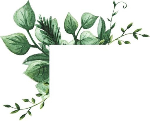 LBD Stickers Decor Wandaufkleber mit grünem Pflanzen- und Floral-Design, abnehmbarer Schalter-Wandaufkleber in Grün - Bild 1