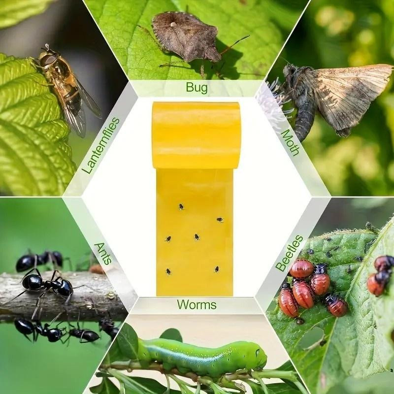 ProTool Haven Insektenfalle Klebeband Gelb für Garten, Gewächshaus und Gemüsebeete - Bild 3