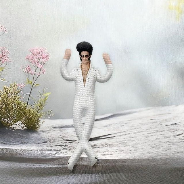 Yiran toy Elvis Presley Katzenkönig Abstraktes Plüschtier, 30cm, mit integriertem Drahtgestell, formbare Stoffmaus - Bild 1