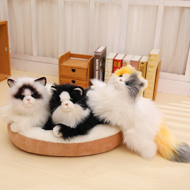 MIAOOWA Ragdoll Katze Plüsch Spielzeug, 50cm, Bunt / Mehrfarbig - Bild 1