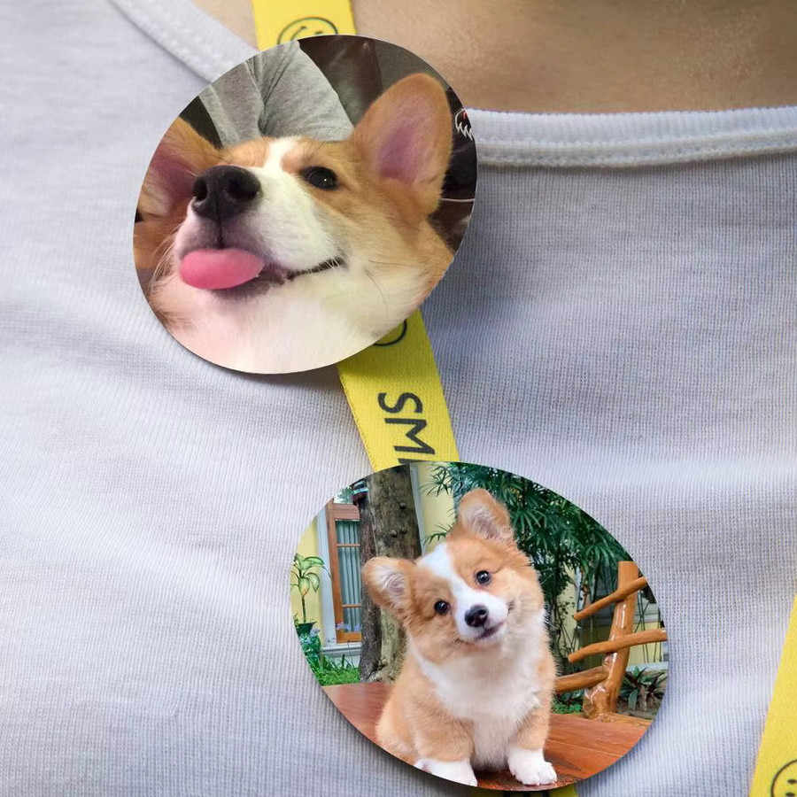 Brosche Corgi-Hund, Bunt, Unisex - Bild 3