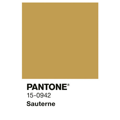 Alpina Wandfarbe Pantone Sauterne Gelb matt 1 l - Bild 2