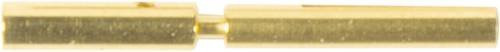 HARTING Crimpkontakt 21011009023 aus Messing mit Goldbeschichtung - Bild 1