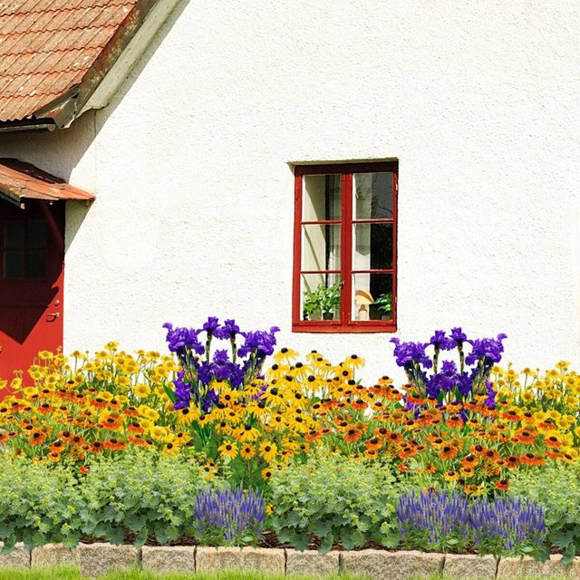 Staudenbeet Sonniger Bauerngarten von Mein schöner Garten Shop, 16 bunte Pflanzen für den Sommer und Herbst - Bild 1