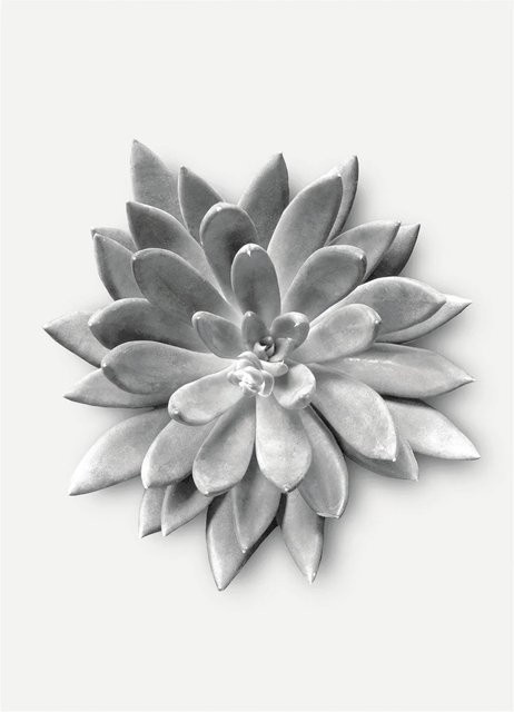 Komar Wandbild Succulent Agave B: 30 cm, H: 40 cm - Bild 1